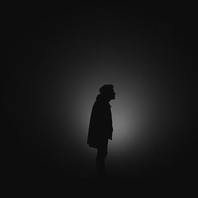 Long Shadow cover art